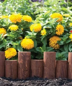 Landscaping Online Outlet 4 Landscaping Online Outlet -Landscaping Online Outlet 03837744