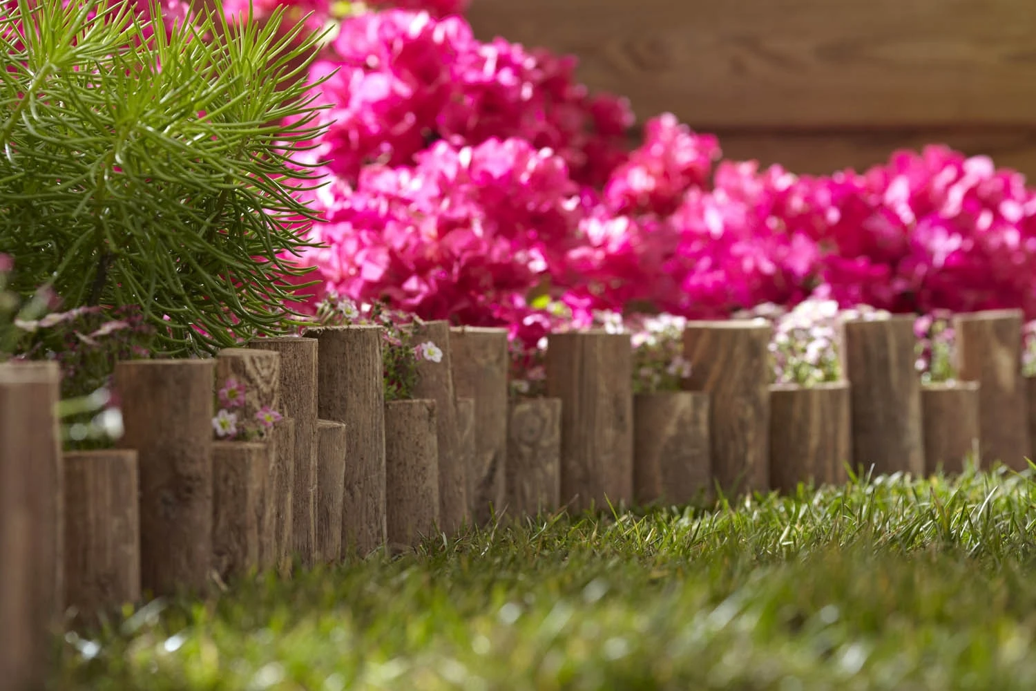 Greenes 3-ft Brown Wood Landscape Edging Section 4 Greenes 3-ft Brown Wood Landscape Edging Section - Image 4