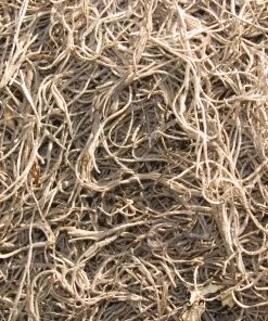 Landscaping Online Outlet 22 Landscaping Online Outlet -Landscaping Online Outlet 04933851