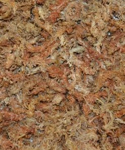 Thing Soil & Soil Amendments Sphagnum Peat Moss Organic Peat Moss Moisture Control -Landscaping Online Outlet 05109648