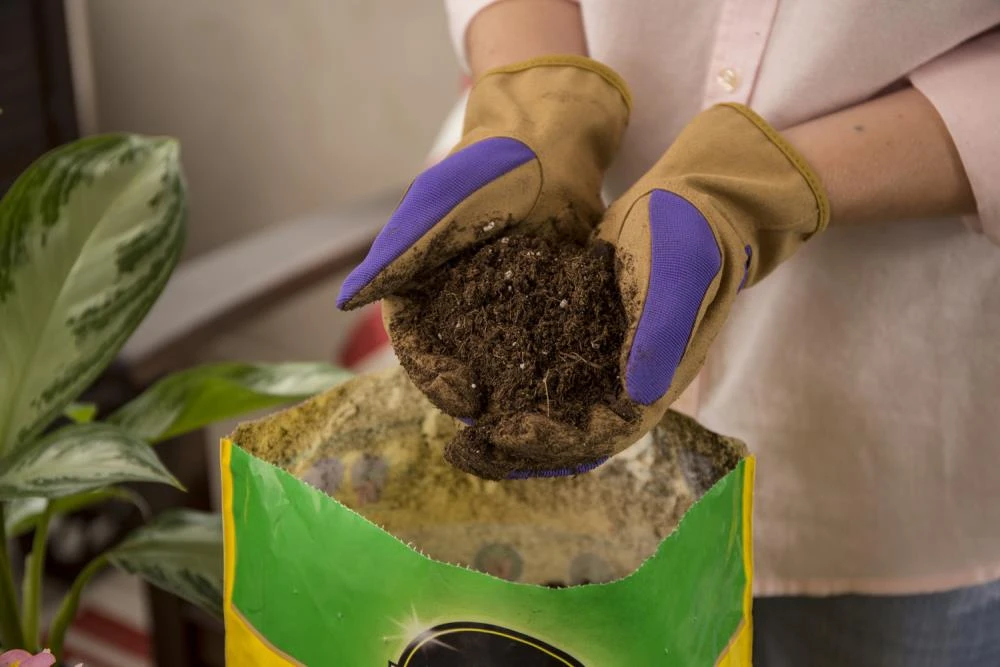 Miracle-Gro Soil & Soil Amendments All Purpose 25-Quart Potting Soil Mix 4 Miracle-Gro Soil & Soil Amendments All Purpose 25-Quart Potting Soil Mix - Image 4