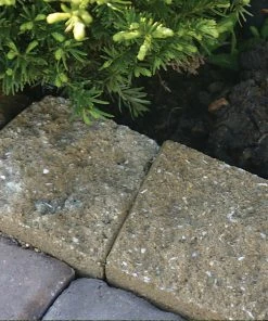 Thing Insignia 5-in L x 8-in W x 3-in H Concrete Straight Edging Stone -Landscaping Online Outlet 07921840