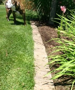 Thing Insignia 5-in L x 8-in W x 3-in H Concrete Straight Edging Stone -Landscaping Online Outlet 07921841