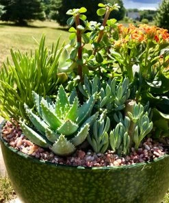 AKASHA Landscaping Rock 4-lb Indoor Decorative Rock 11 AKASHA Landscaping Rock 4-lb Indoor Decorative Rock -Landscaping Online Outlet 08250211