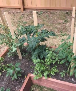 Thing Landscape Fabric & Stakes 6-Pack 60-in Wood Landscape Stakes 8 Thing Landscape Fabric & Stakes 6-Pack 60-in Wood Landscape Stakes -Landscaping Online Outlet 08337292