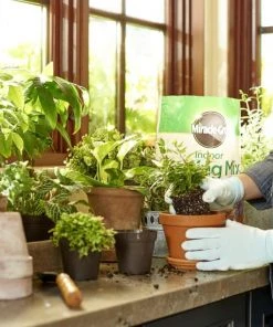 Miracle-Gro Soil & Soil Amendments Indoor 6-Quart Potting Soil Mix 11 Miracle-Gro Soil & Soil Amendments Indoor 6-Quart Potting Soil Mix -Landscaping Online Outlet 08465712