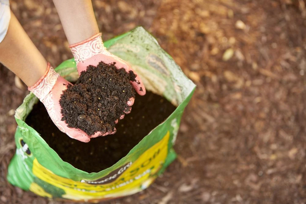 Miracle-Gro Soil & Soil Amendments All Purpose for In-Ground Use 2-cu ft Garden Soil 3 Miracle-Gro Soil & Soil Amendments All Purpose for In-Ground Use 2-cu ft Garden Soil - Image 3