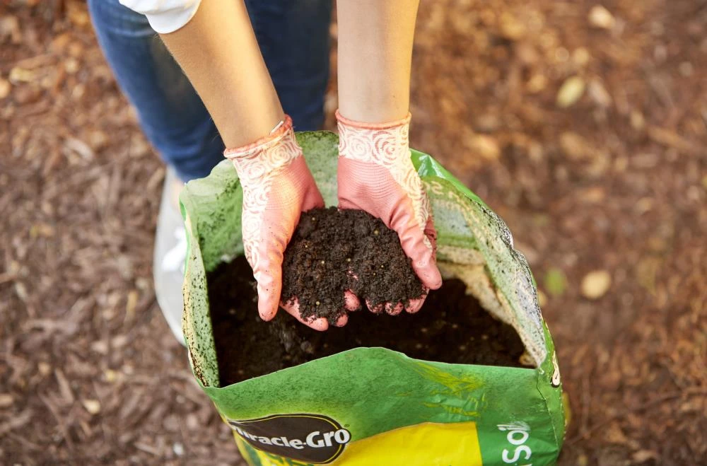 Miracle-Gro Soil & Soil Amendments All Purpose for In-Ground Use 2-cu ft Garden Soil 6 Miracle-Gro Soil & Soil Amendments All Purpose for In-Ground Use 2-cu ft Garden Soil - Image 6