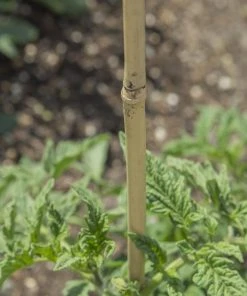 Bond Landscape Fabric & Stakes 25-Pack 48-in Bamboo Landscape Stake 5 Bond Landscape Fabric & Stakes 25-Pack 48-in Bamboo Landscape Stake -Landscaping Online Outlet 09746291