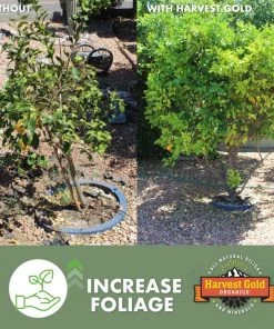 Harvest Gold Organics Soil & Soil Amendments Premium Soil Conditioner Organic Provides Organic Nutrients -Landscaping Online Outlet 12097051