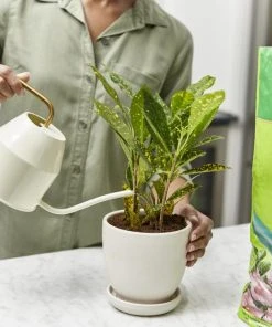 Miracle-Gro Soil & Soil Amendments Moisture Control Peat Moss Moisture Control -Landscaping Online Outlet 12190882