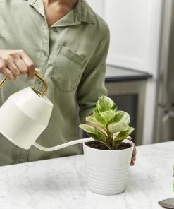 Miracle-Gro Soil & Soil Amendments Perlite Improves Soil Structure -Landscaping Online Outlet 12190891