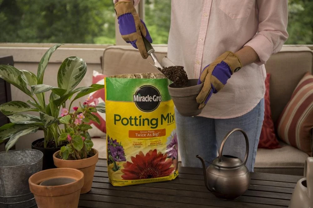Miracle-Gro Soil & Soil Amendments All Purpose 25-Quart Potting Soil Mix 6 Miracle-Gro Soil & Soil Amendments All Purpose 25-Quart Potting Soil Mix - Image 6