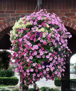 Soil Moist Soil & Soil Amendments Synthetic Polymer Moisture Control -Landscaping Online Outlet 15604160