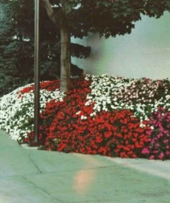 Soil Moist Soil & Soil Amendments Synthetic Polymer Moisture Control -Landscaping Online Outlet 15604164