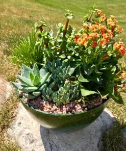 AKASHA Landscaping Rock 4-lb Indoor Decorative Rock 9 AKASHA Landscaping Rock 4-lb Indoor Decorative Rock -Landscaping Online Outlet 16989167