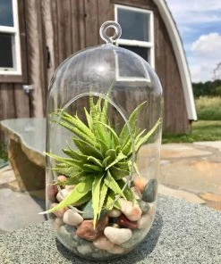 AKASHA Landscaping Rock 5-lb Indoor Decorative Rock 10 AKASHA Landscaping Rock 5-lb Indoor Decorative Rock -Landscaping Online Outlet 17076905