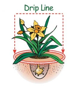 Espoma Soil & Soil Amendments Soil Acidifier Organic Ph Balancer -Landscaping Online Outlet 42665127