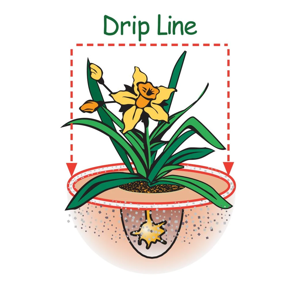 Espoma Soil & Soil Amendments Garden Organic Lime Ph Balancer 8 Espoma Soil & Soil Amendments Garden Organic Lime Ph Balancer - Image 8