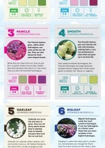 Espoma Soil & Soil Amendments Soil Acidifier Organic Ph Balancer -Landscaping Online Outlet 43201441