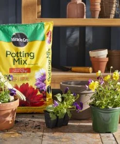 Landscaping Online Outlet 24 Landscaping Online Outlet -Landscaping Online Outlet 44004018