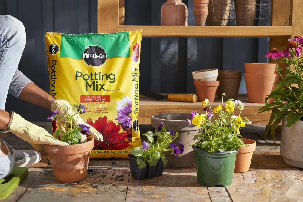 Miracle-Gro Soil & Soil Amendments Potting Mix Bundle 16-Quart Potting Soil Mix 2 Miracle-Gro Soil & Soil Amendments Potting Mix Bundle 16-Quart Potting Soil Mix - Image 2
