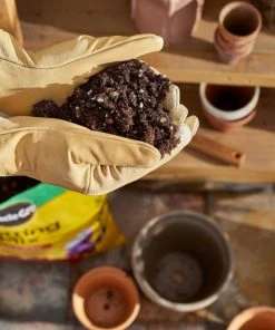 Miracle-Gro Soil & Soil Amendments Potting Mix Bundle 16-Quart Potting Soil Mix 8 Miracle-Gro Soil & Soil Amendments Potting Mix Bundle 16-Quart Potting Soil Mix -Landscaping Online Outlet 44004091