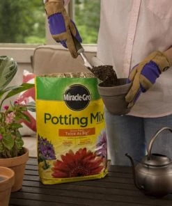 Miracle-Gro Soil & Soil Amendments Potting Mix Bundle 8-Quart Potting Soil Mix -Landscaping Online Outlet 44004196