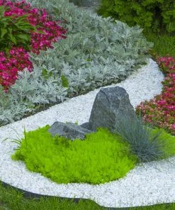 Beach Pebble Company Landscaping Rock Decorative stone chip 30-lb White Decorative Rock -Landscaping Online Outlet 44319150