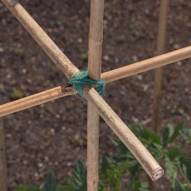 Landscaping Online Outlet 36 Landscaping Online Outlet -Landscaping Online Outlet 09746292