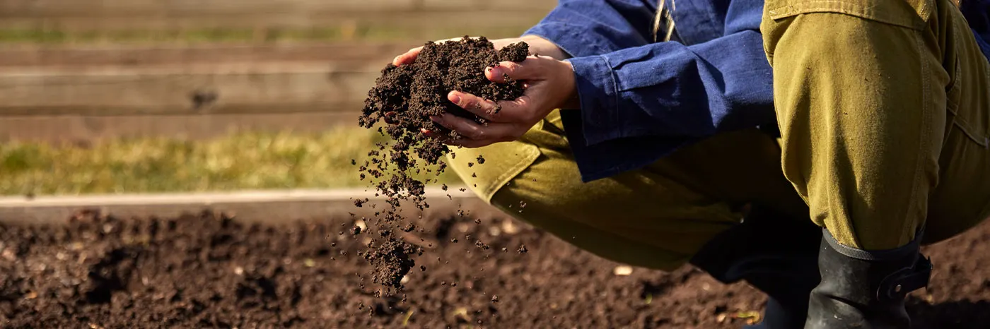 Landscaping Online Outlet -Landscaping Online Outlet Flower Fertalizer Blog Img 1