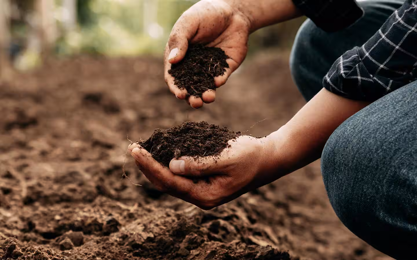 Landscaping Online Outlet 34 Landscaping Online Outlet -Landscaping Online Outlet tips for amending problem soil step 1